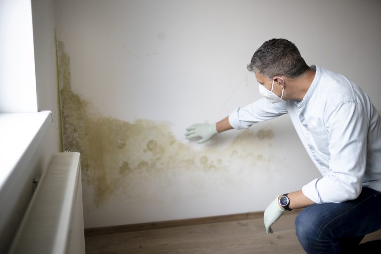 rising damp Bath